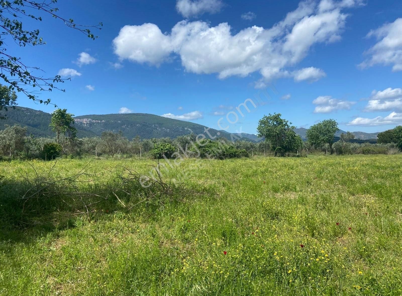 Menderes Değirmendere'de Satılık Tek Tapu Tarla - Görsel 12