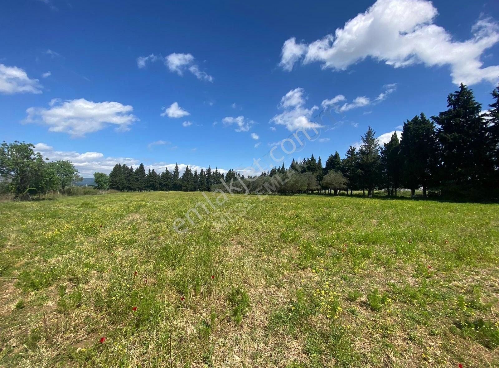 Menderes Değirmendere'de Satılık Tek Tapu Tarla - Görsel 15