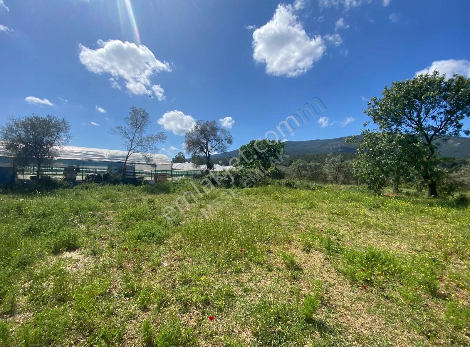 Menderes Değirmendere'de Satılık Tek Tapu Tarla - Görsel 13