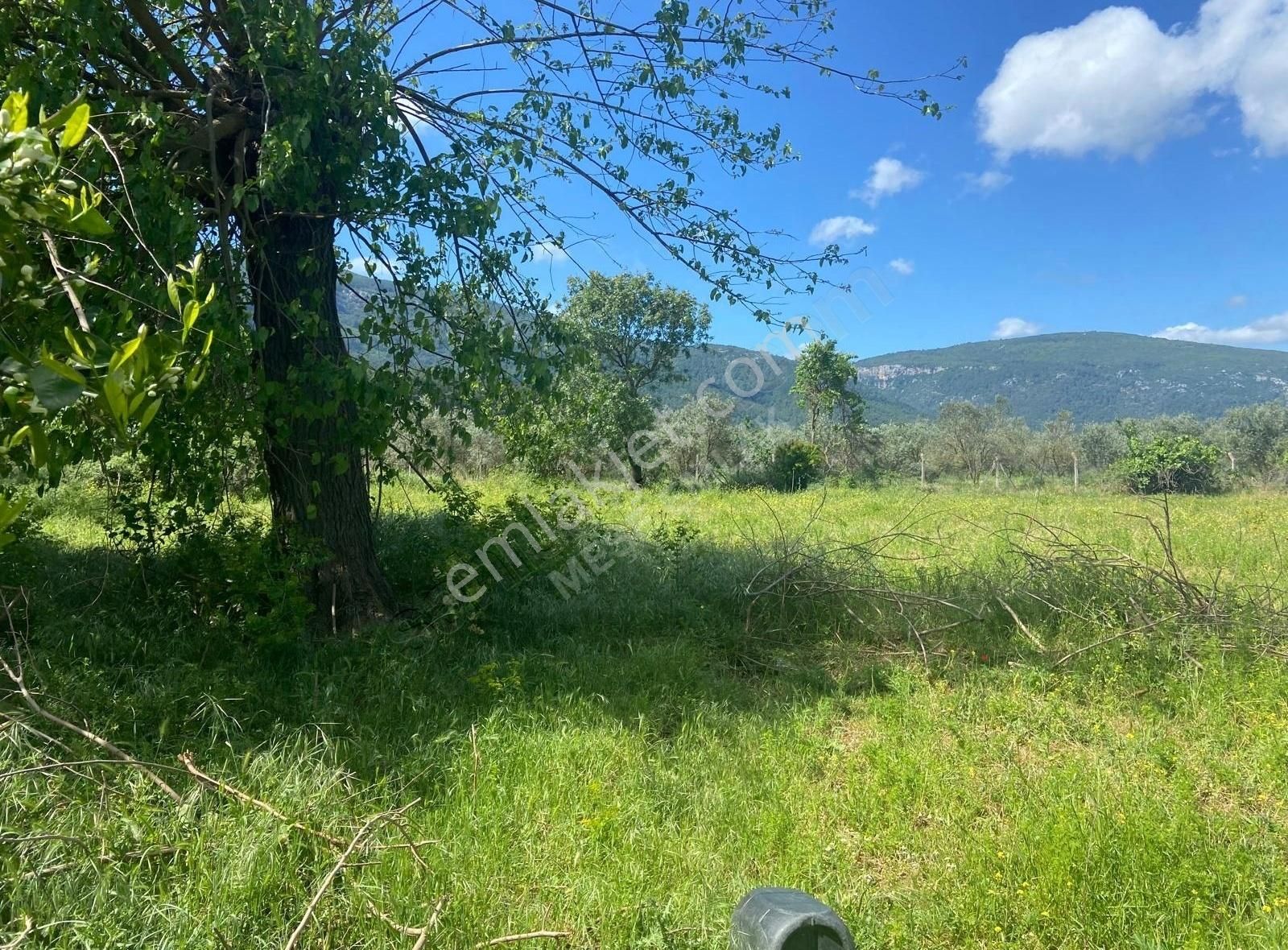 Menderes Değirmendere'de Satılık Tek Tapu Tarla - Görsel 19