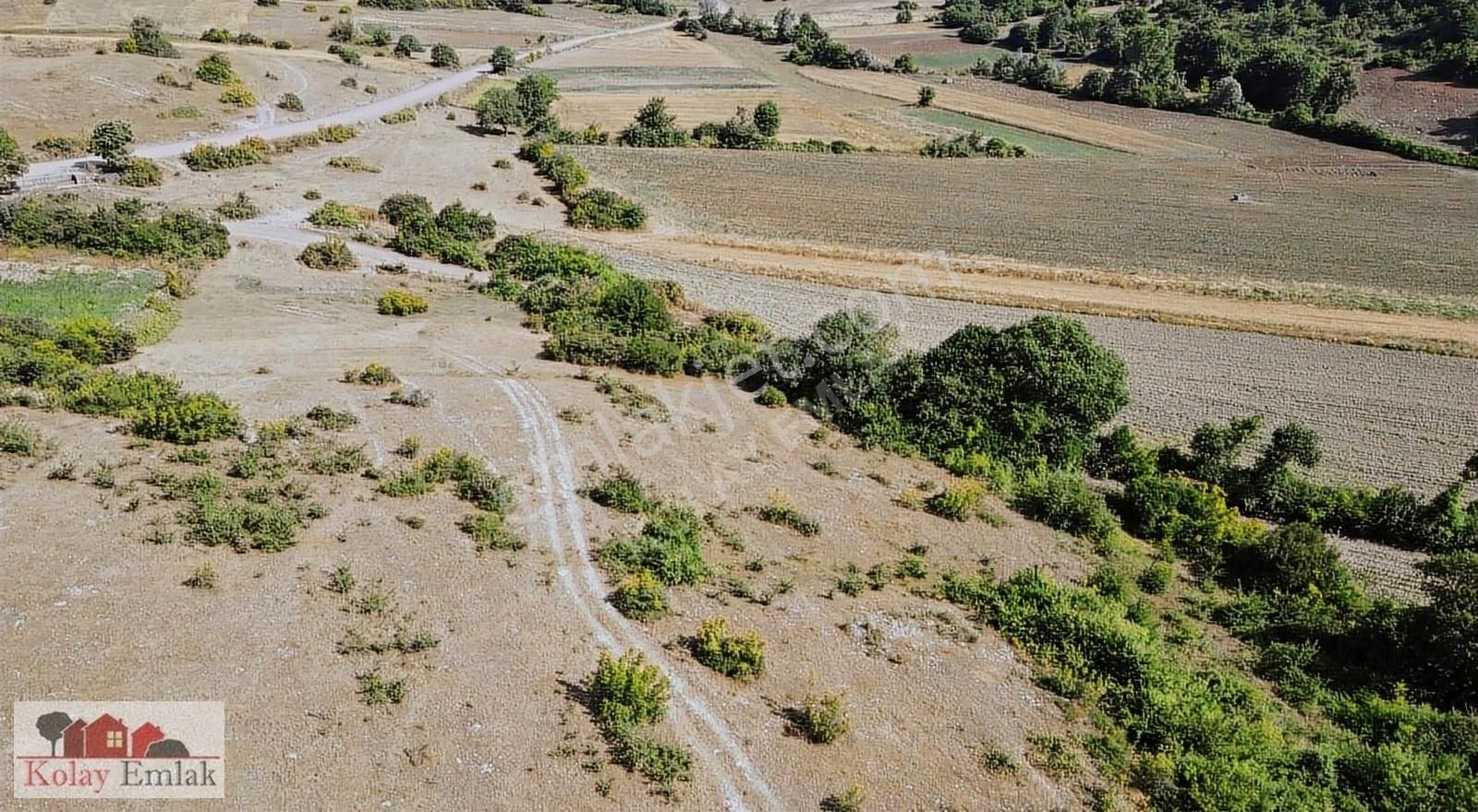 Kandıra Alaybey Satılık Tarla Kandıra Duraçalı Köyünde 2 Parça 14.150m2 Satılık Tarla