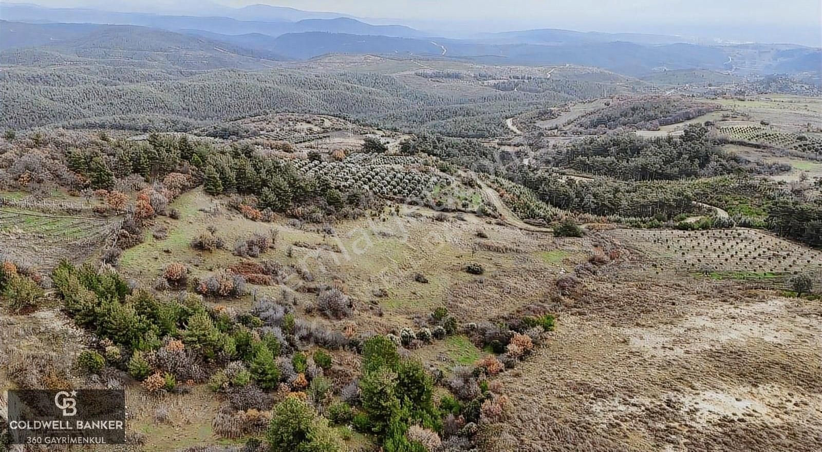 Menemen Bozalan Satılık Tarla Marjinal Tarıma Uygun,ges ,büyükbaş Hayvancılık'a Uygun Arazi