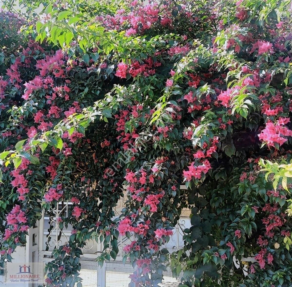 Kuşadası Soğucak Satılık Villa İmarlı Aydın Kuşadasında Deniz Manzaralı İmarlı Arsa