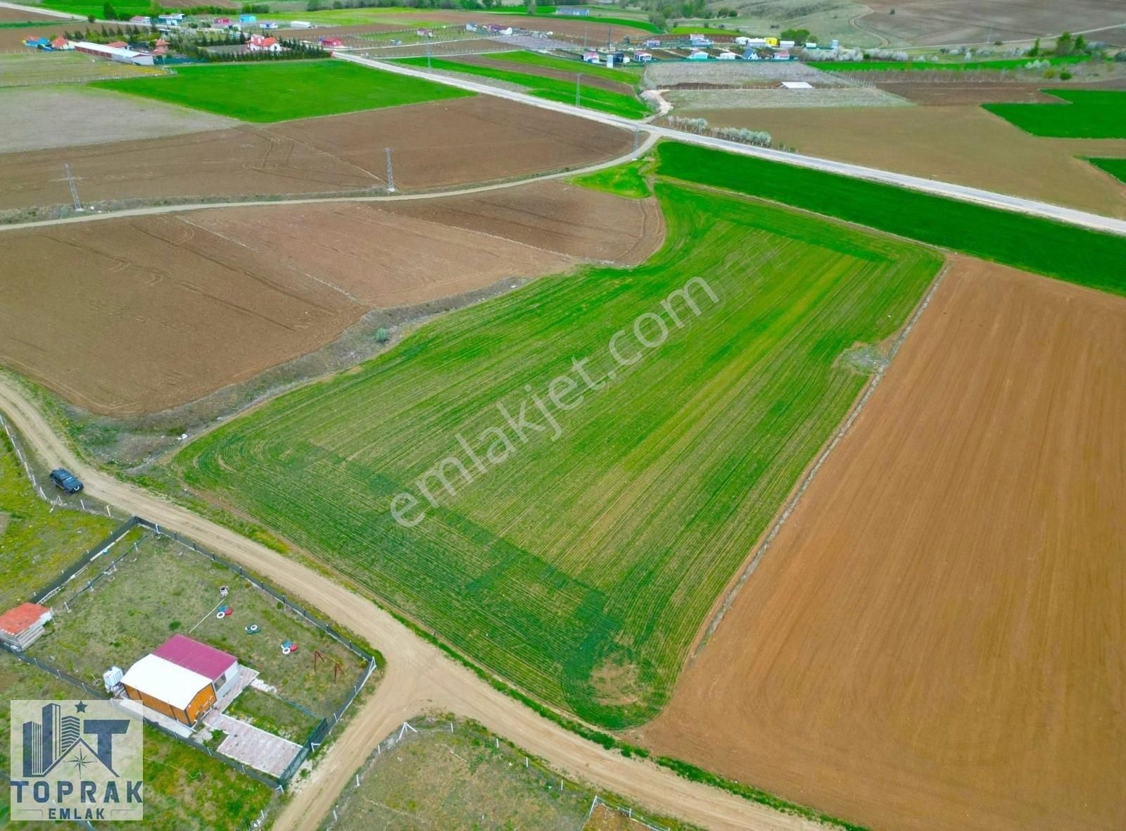 Tepebaşı Kavacık Satılık Tarla Toprak Emlaktan Kavacık Mh Kadastro Yoluna Cepheli Satılık Tarla