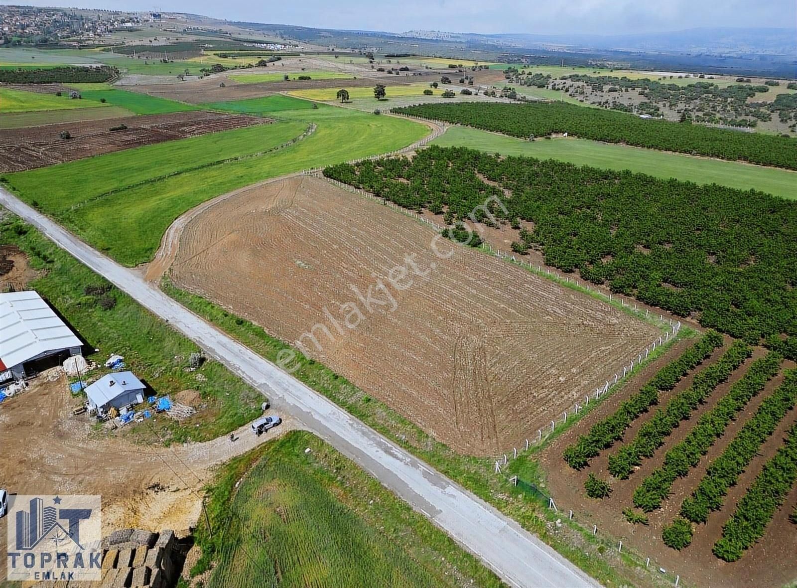 Mihalıççık Camikebir Satılık Tarla Toprak Emlak'tan Mihalıççık'a 5 Dk Mesafede Asfalta Cephe Tarla