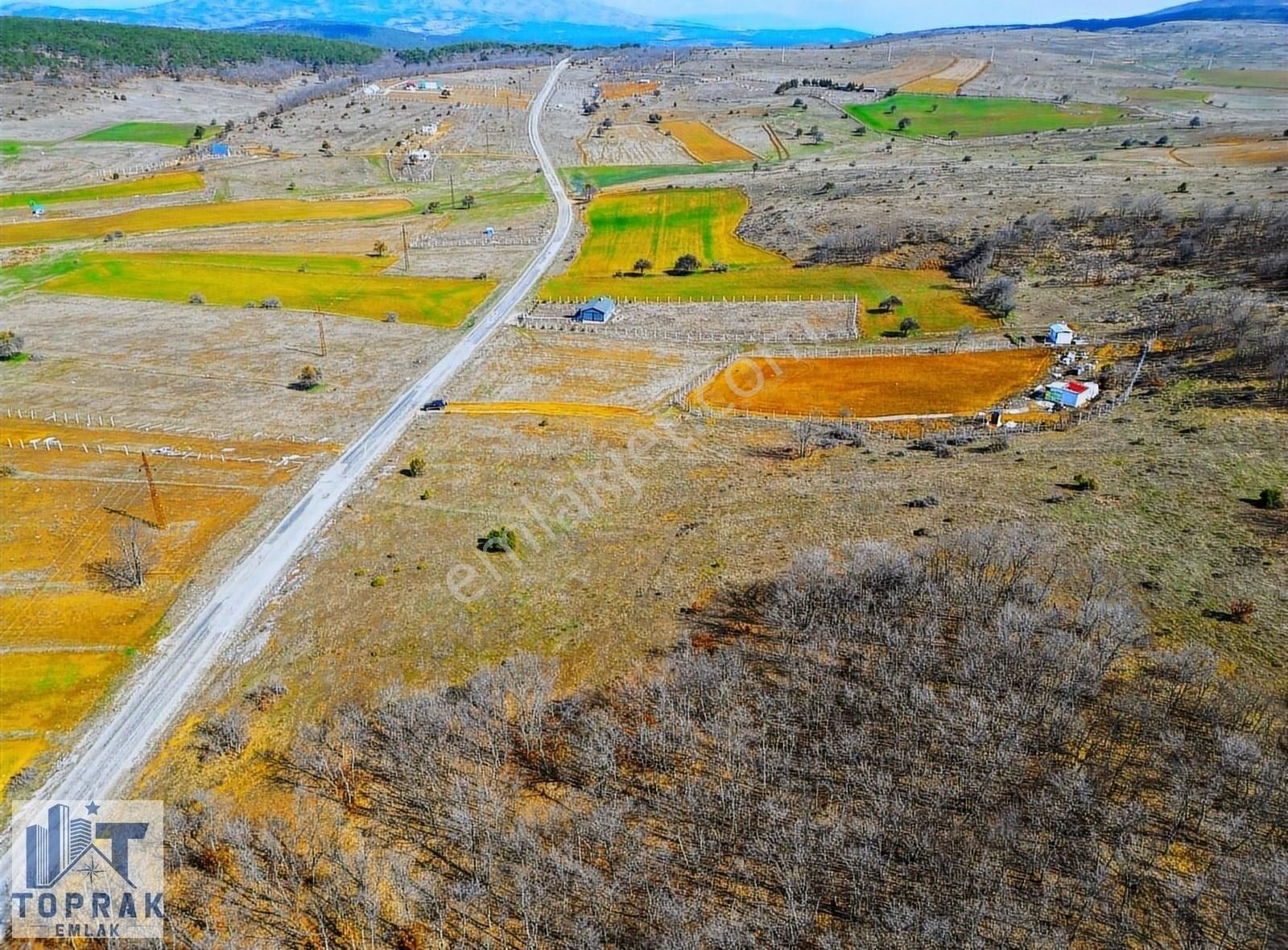 Tepebaşı Yarımca Satılık Tarla Toprak Emlak'tan Orman Dibi Yol Elektrik Olan Bahçelik Arazi