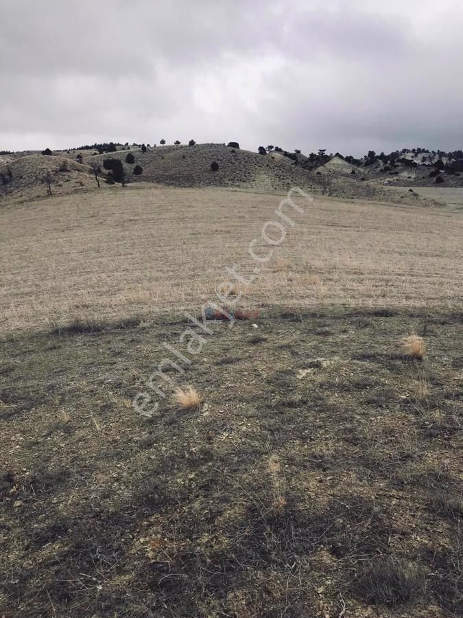 Kemer Akçaören Köyü Satılık Tarla Burdur Akçaören'de Kaçırılmayacak Tek Tapu Arazi