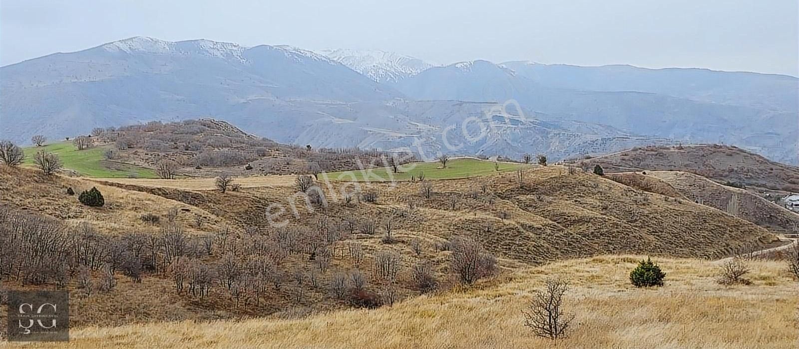 Suşehri Yürekli Köyü Satılık Tarla Sivas Suşehri Yüreklide Tarla