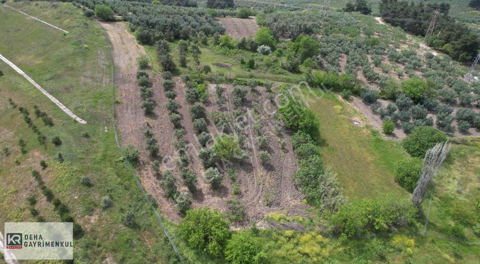 Osmangazi Ovaakça Merkez Satılık Tarla Ovaakça Merkez'de Bakımlı 1.782 M2 Satılık Zeytinlik 35 Ad. Ağaç