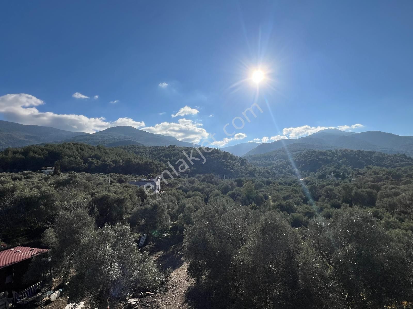 Kuşadası Güzelçamlı Satılık Daire Kuşadası Güzelçamlı'da Sıfır Orman Manzaralı Daire