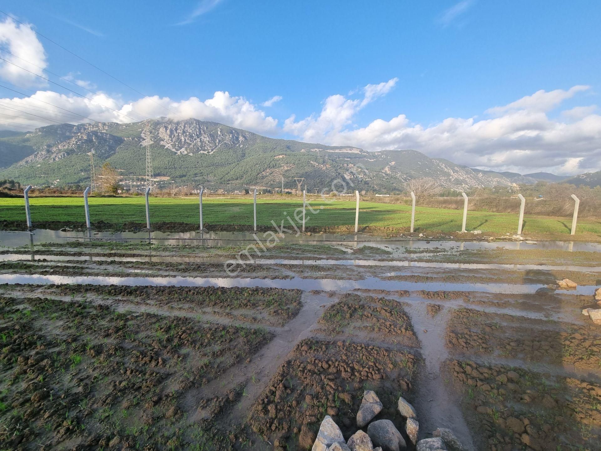 Muğla/ula/gökova Mahallesinde Satılık 1.273 M2 Tarla - Görsel 14