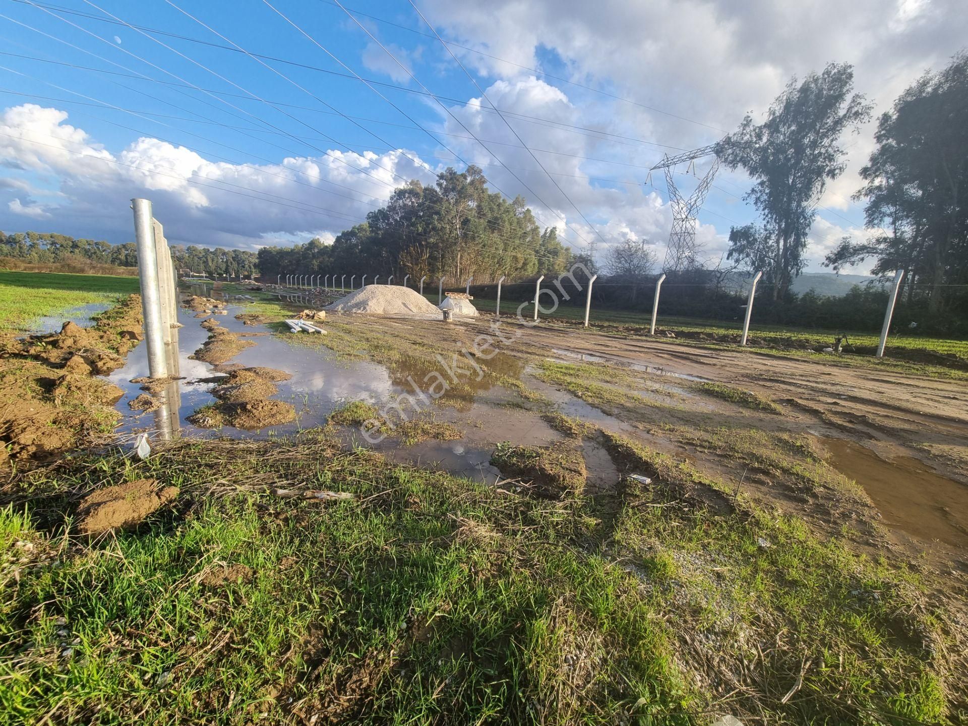 Muğla/ula/gökova Mahallesinde Satılık 1.273 M2 Tarla - Görsel 29