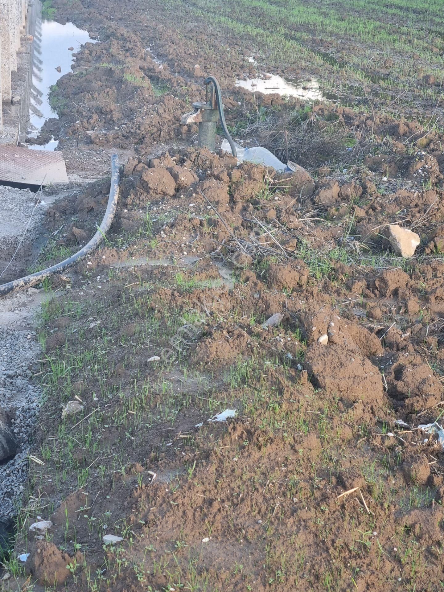 Muğla/ula/gökova Mahallesinde Satılık 1.273 M2 Tarla - Görsel 3