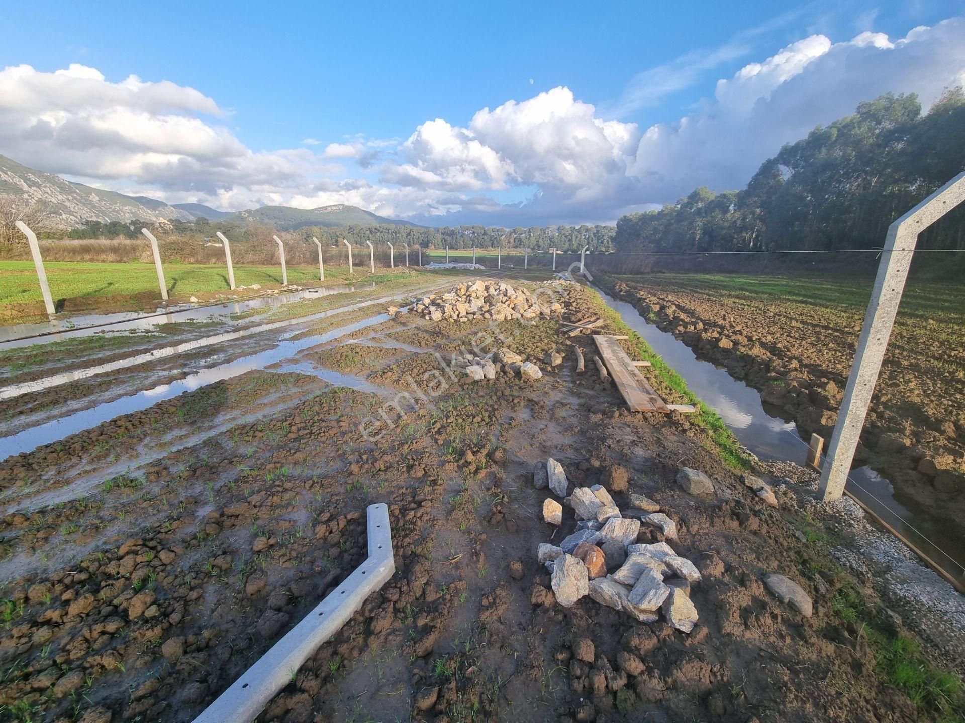 Muğla/ula/gökova Mahallesinde Satılık 1.273 M2 Tarla - Görsel 8