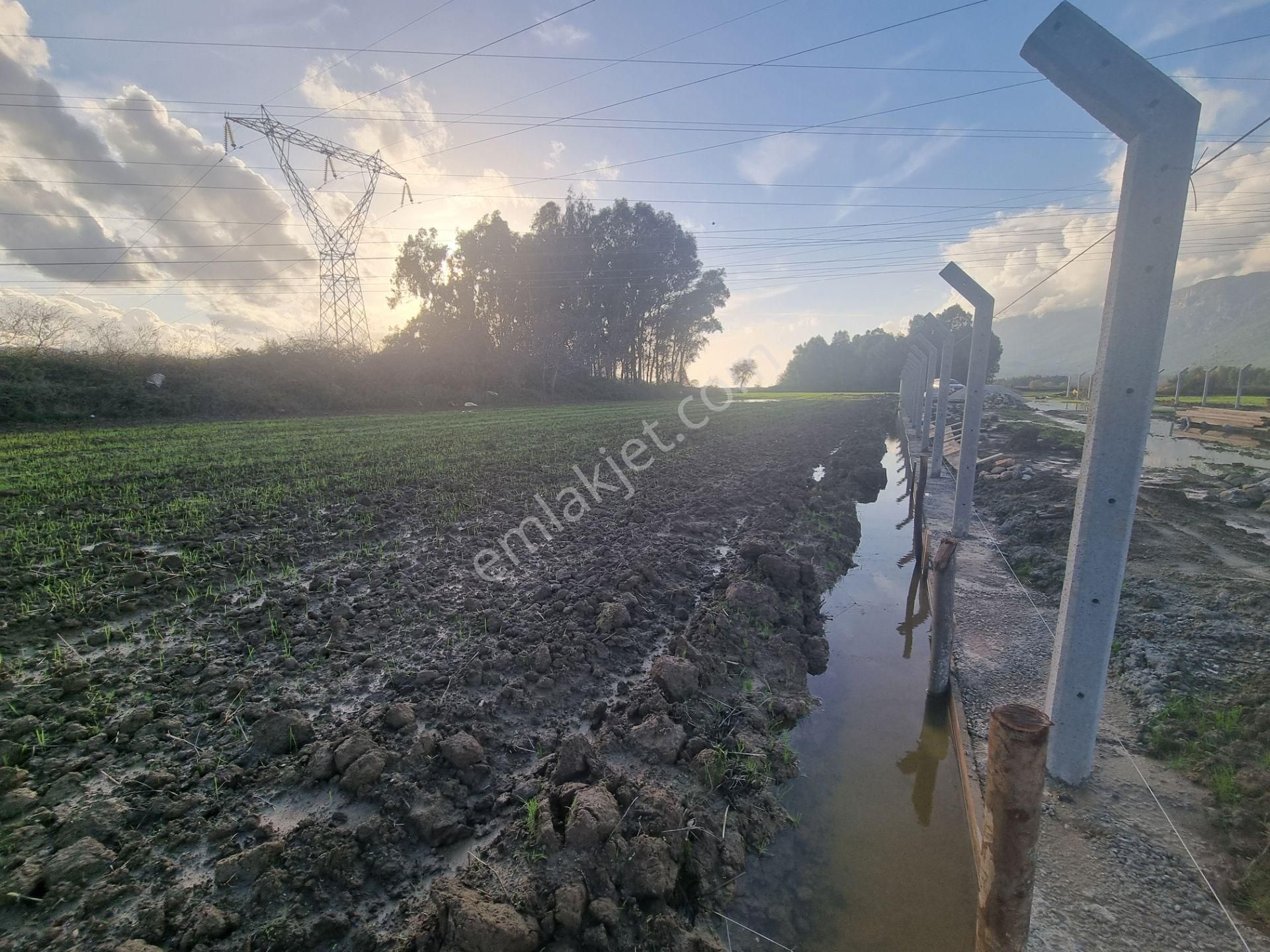 Muğla/ula/gökova Mahallesinde Satılık 1.273 M2 Tarla - Görsel 23