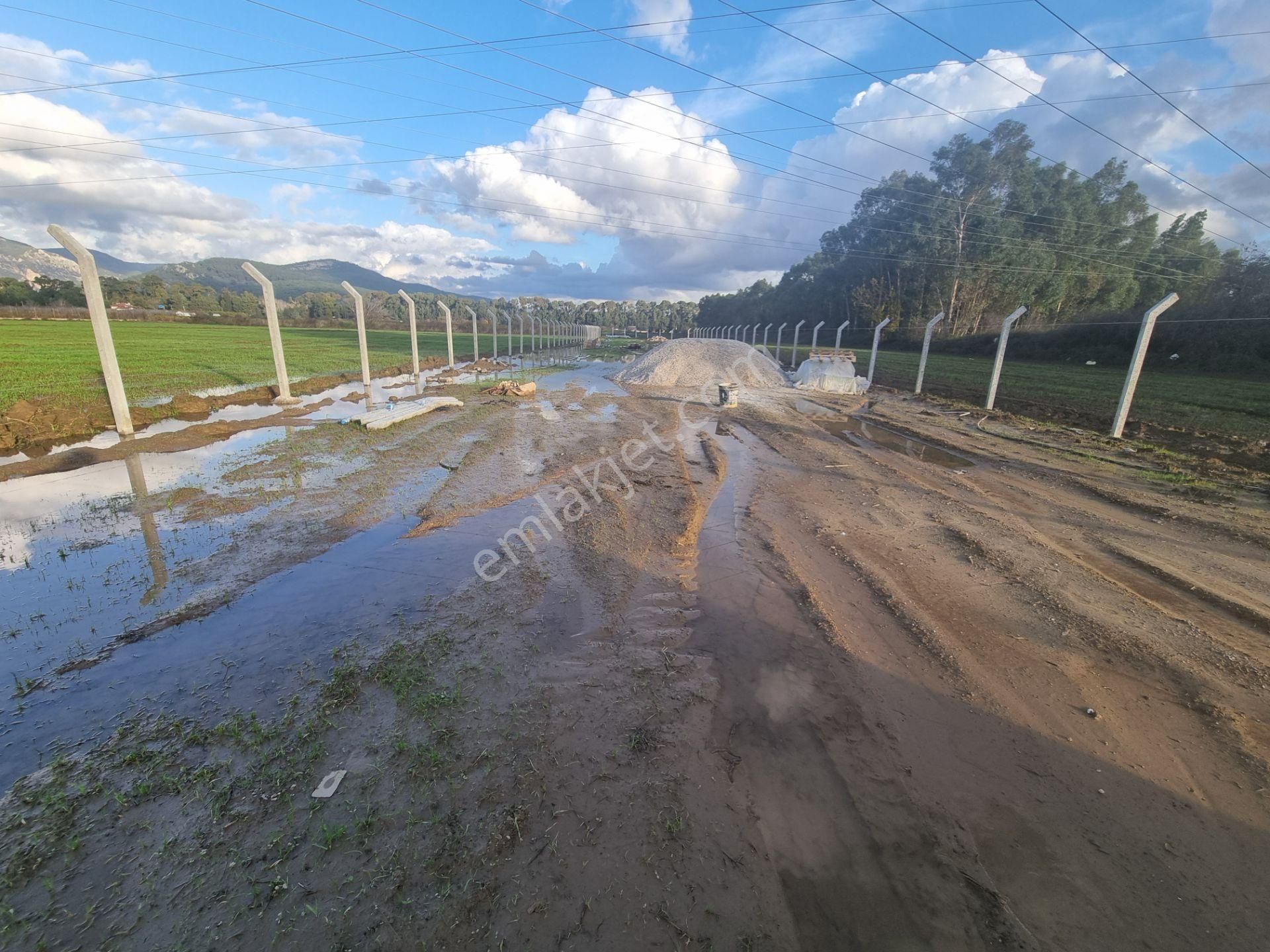 Muğla/ula/gökova Mahallesinde Satılık 1.273 M2 Tarla - Görsel 4