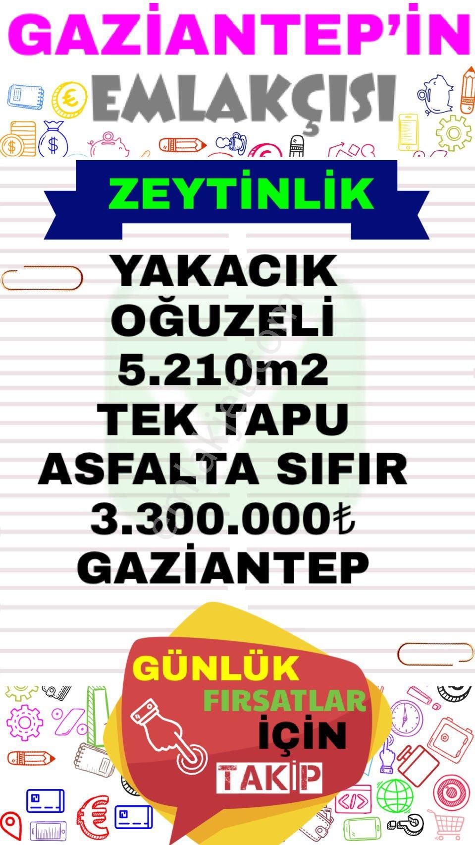 Oğuzeli Yakacık Satılık Zeytinlik Yakacık Oğuzeli 5.210m2 Tek Tapu Asfalta Sıfır 3.300.000₺ Gaziantep