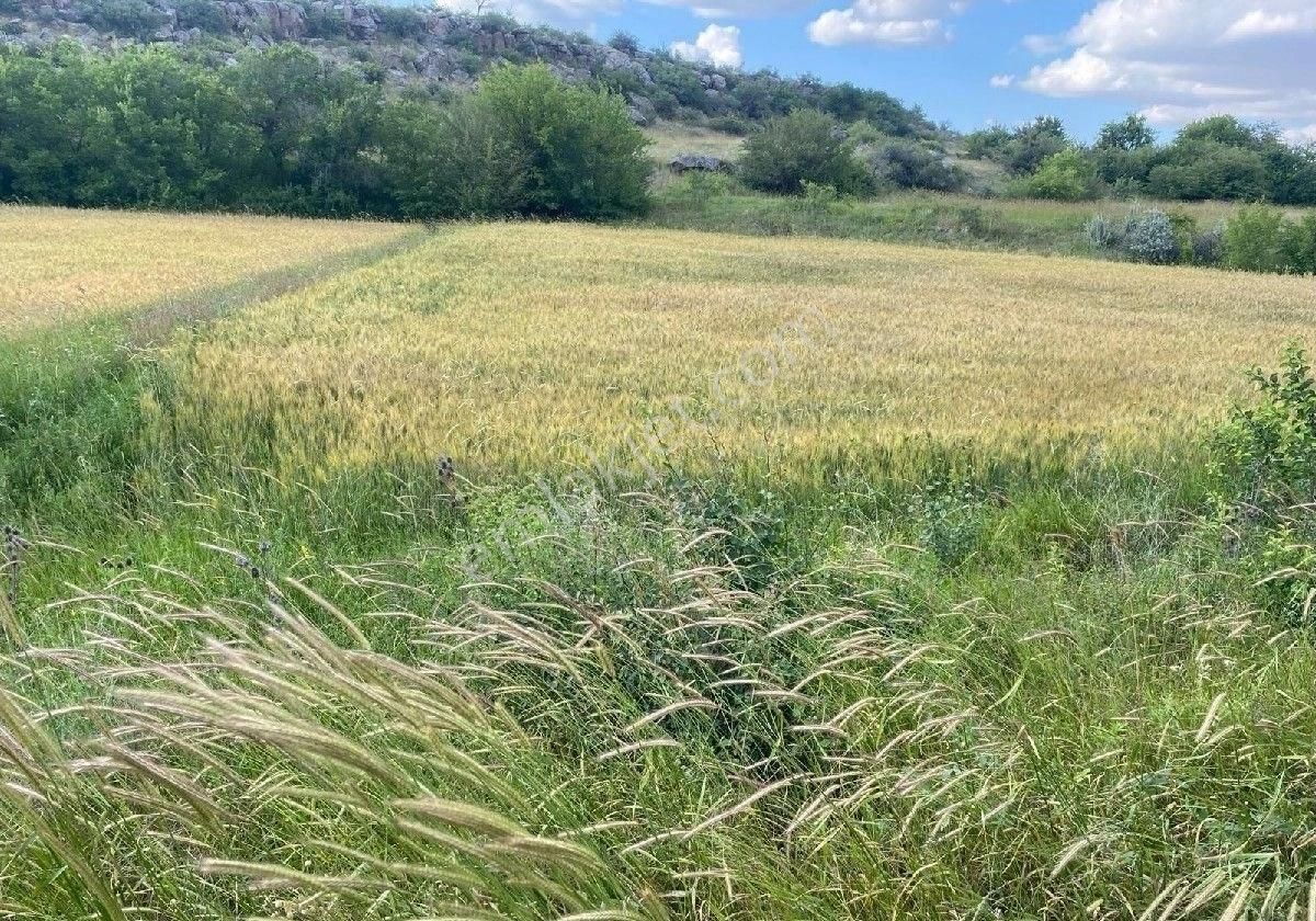 Melikgazi Turan Satılık Konut İmarlı Turan Mah Arsa