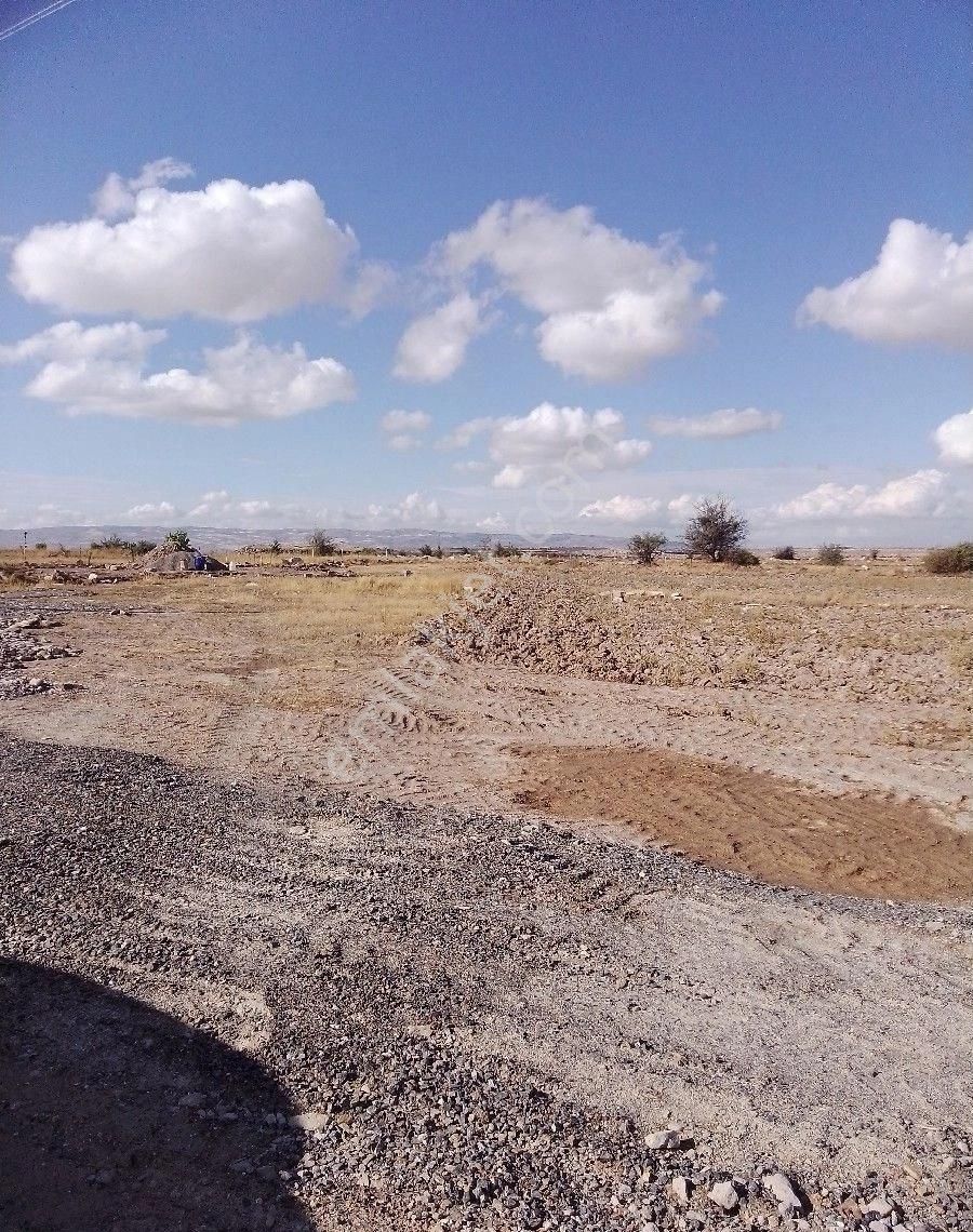 Melikgazi Turan Satılık Bağ & Bahçe Turan Mah Satılık İmarlı Parsel