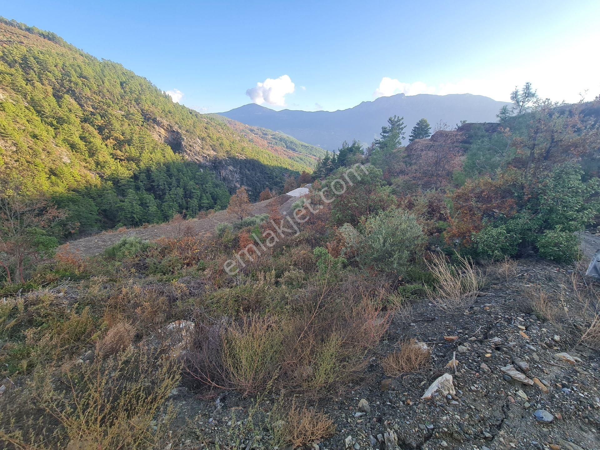 Alanya Uğurlu Satılık Tarla Uğurlu(gıvrasıl) Doğa Manzaralı Tarla