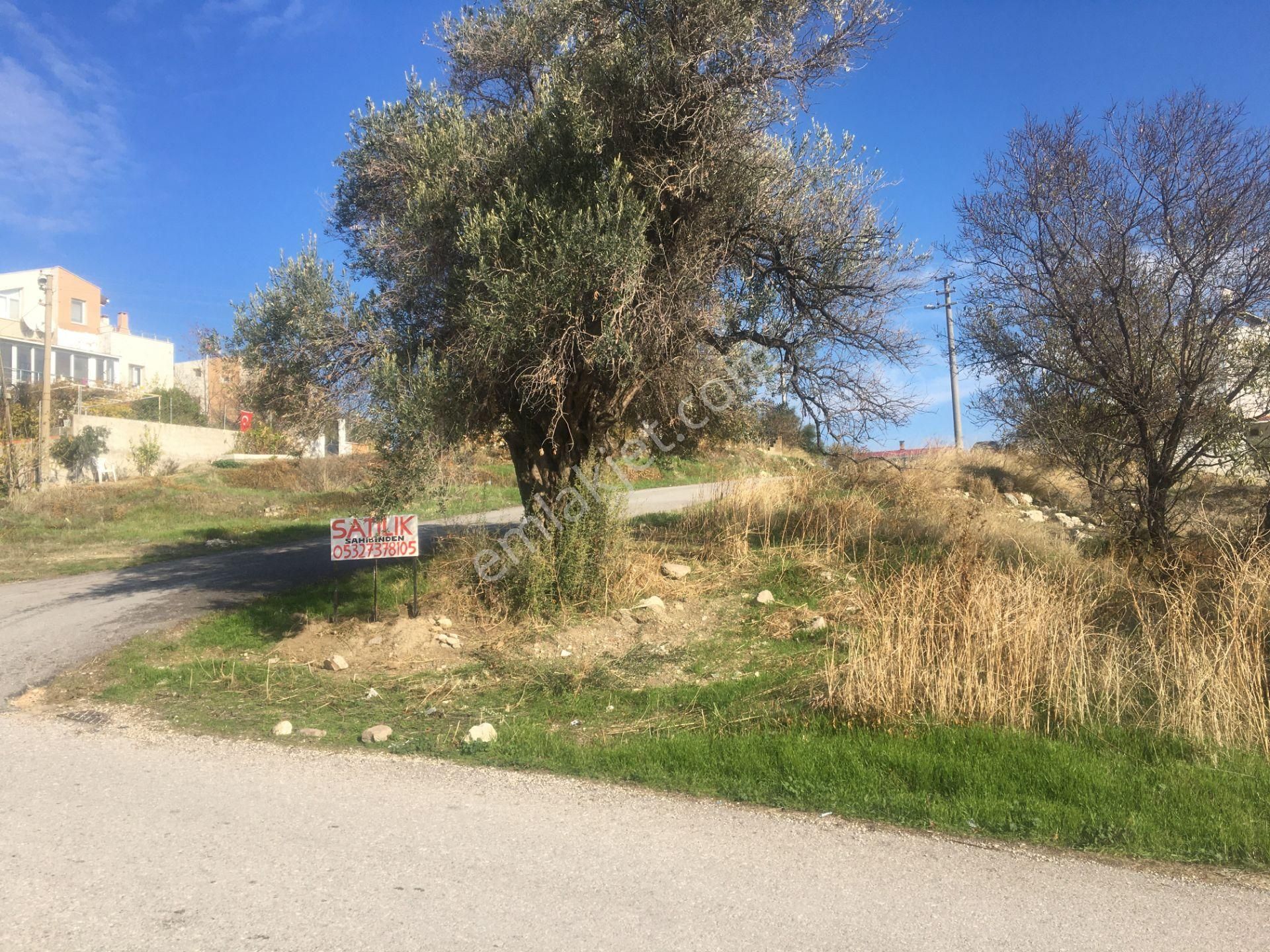 Karaburun Mordoğan Satılık Konut İmarlı Sahibinden Satılık Arsa