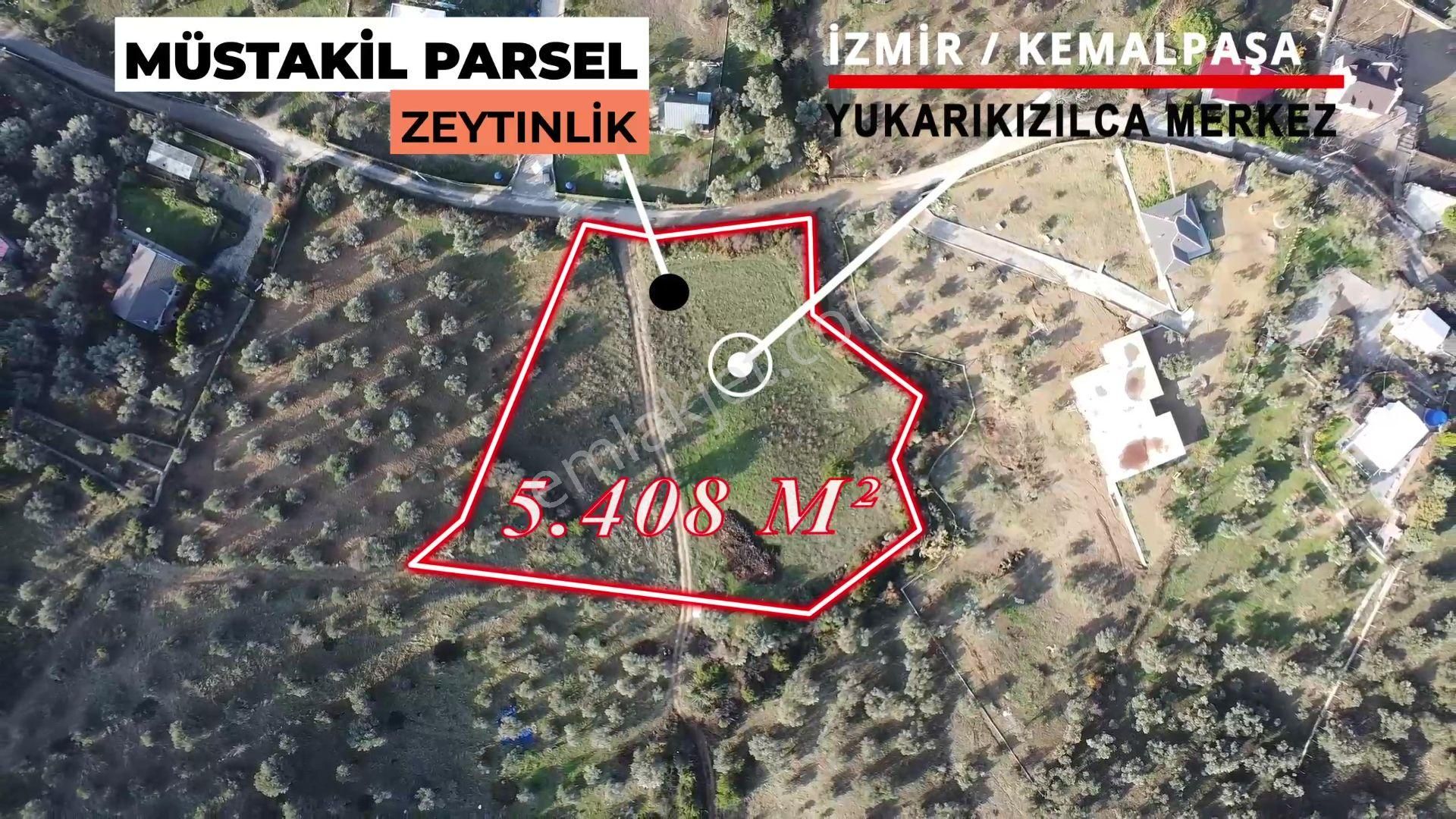 Kemalpaşa Yukarıkızılca Merkez Satılık Zeytinlik İzmir Kemalpaşa Yukarıkızılca Merkez’de Satılık Müstakil Parsel Arazi