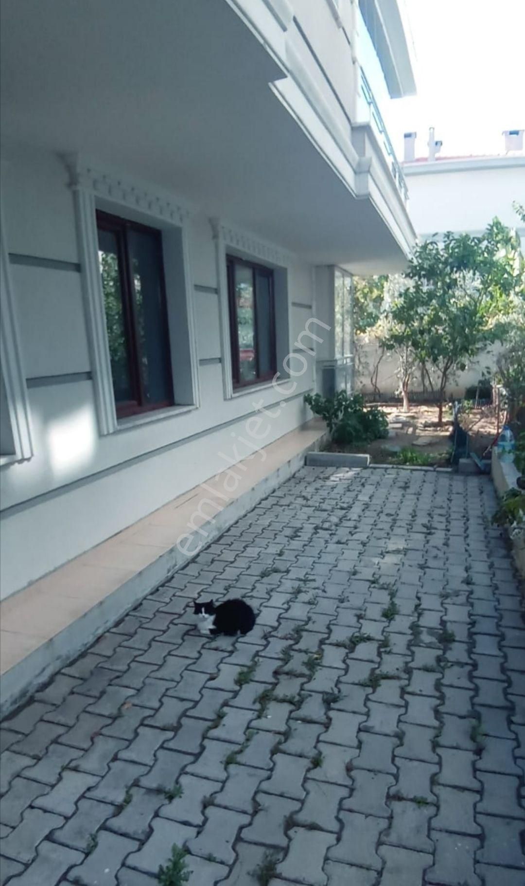 Kiralık 2+1 - Görsel 2