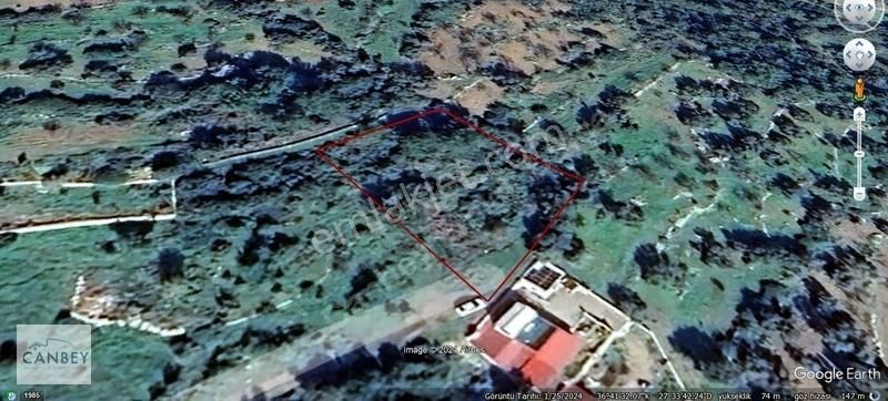 Datça Mesudiye Satılık Tarla Mesudiye'de Denize 1,5 Km 1.289 M2 Bademlik