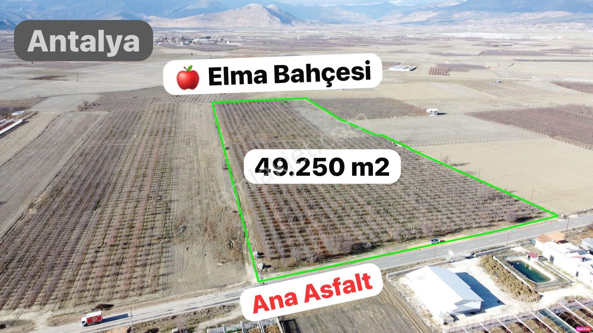 Elmalı Eymir Satılık Bağ & Bahçe Antalya Elmalı Eymir Mah. 49.250 M2 Elma Bahçesi+asfalta 142 M Cepheli