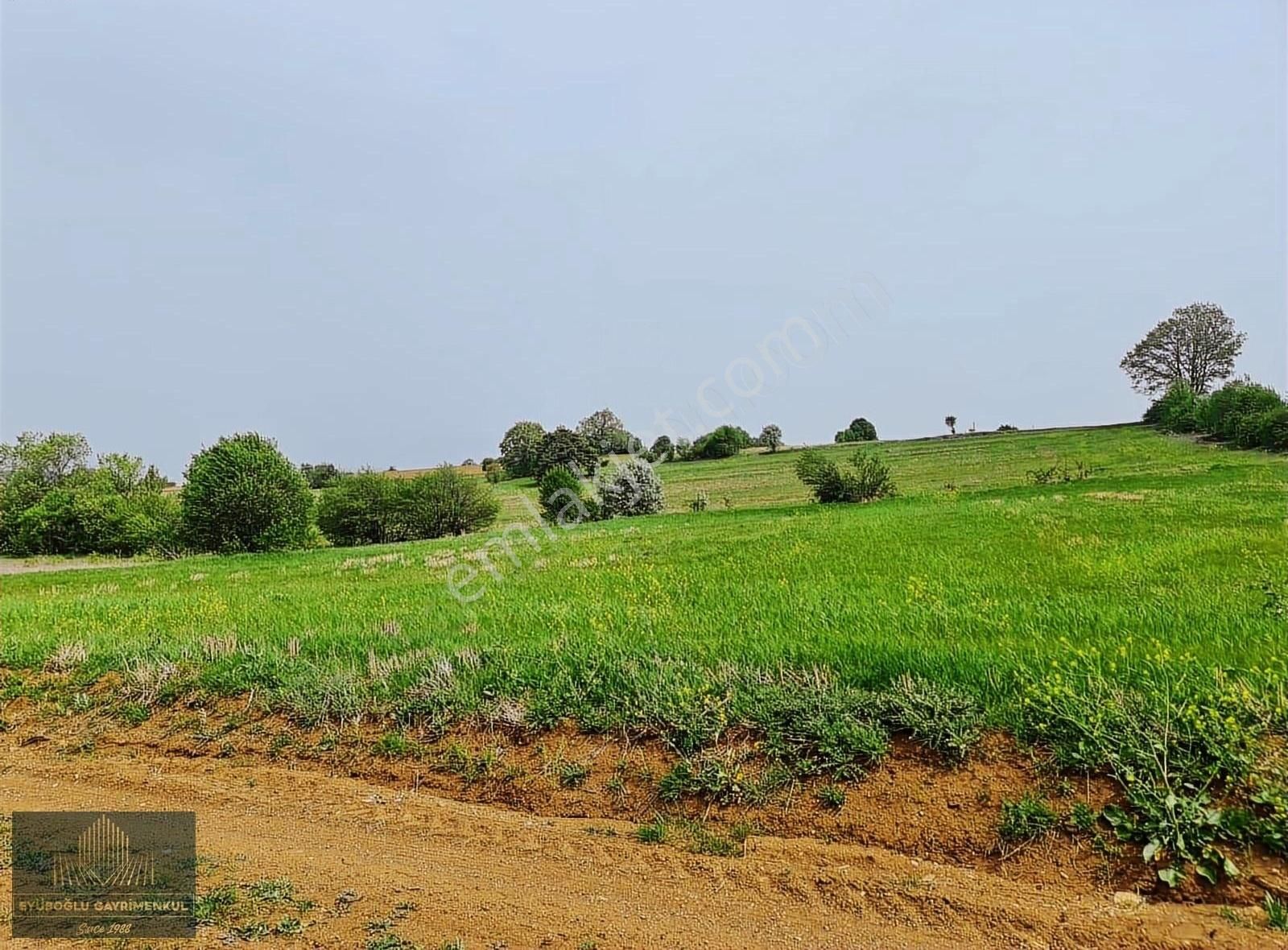 Söğüt Dömez Köyü Satılık Tarla Söğüt Dömez'de 2781m² Resmi Yollu Manzaralı Müstakil Parsel