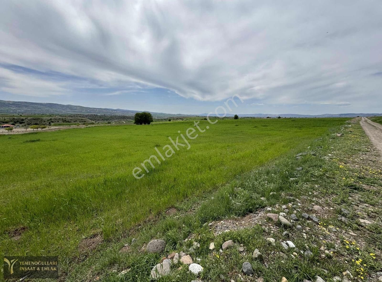 Kahramankazan İnceğiz Satılık Tarla ~yemenogulları Emlak~ İnceğizde Tek Tapu Tarla