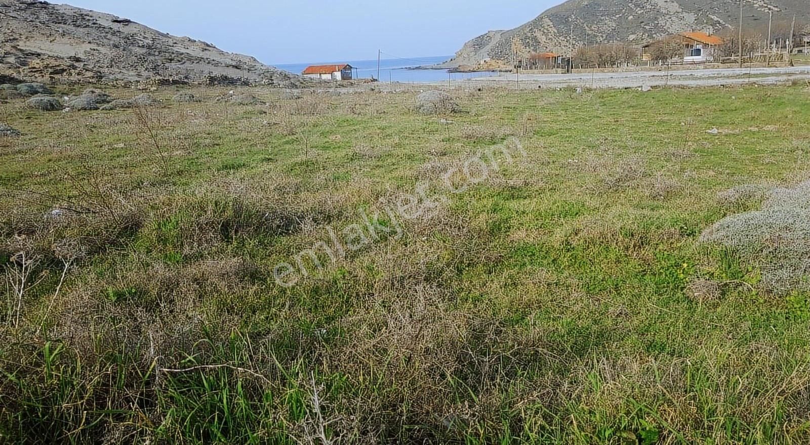 Gökçeada Kaleköy Köyü Satılık Tarla Nostalji Emlaktan Yıldızkoyda Muhteşem Arazi