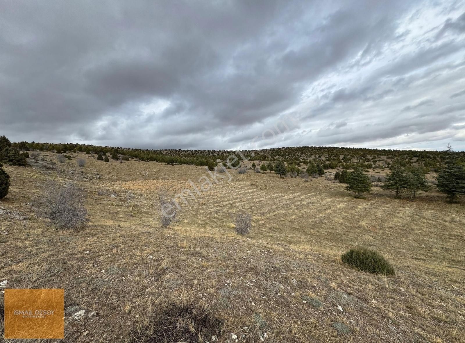 Selçuklu Ulumuhsine Satılık Tarla Şehrin Stresinden Uzak Orman İçi 2600 M2 Manzaralı Fırsat Arazi