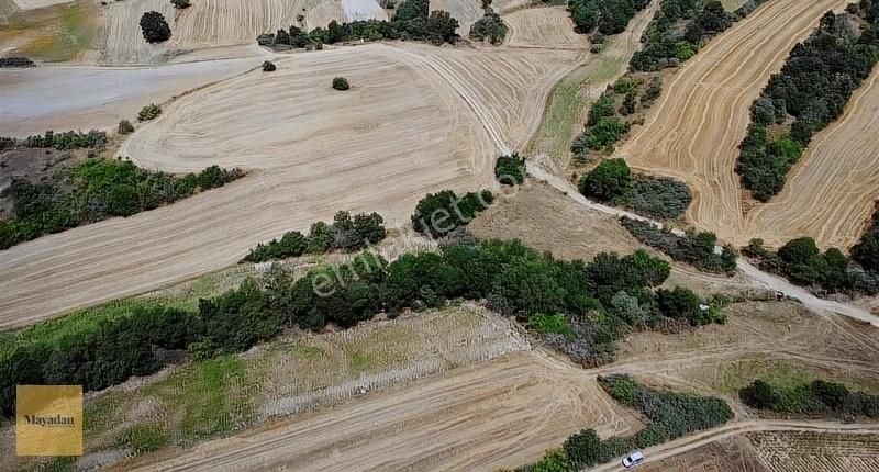 Babaeski Erikleryurdu Köyü Satılık Tarla Mayadan Babaeski Erikleryurdu'nda 3.736m2 Satılık Arazi