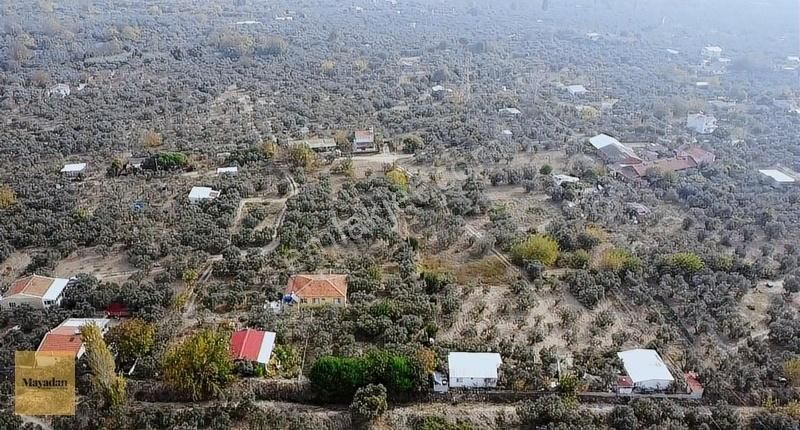 Erdek Yukarıyapıcı Satılık Tarla Mayadan Gayrimenkul'den Erdek Yukarıyapıcı'da 865 M2 Satılık Tar