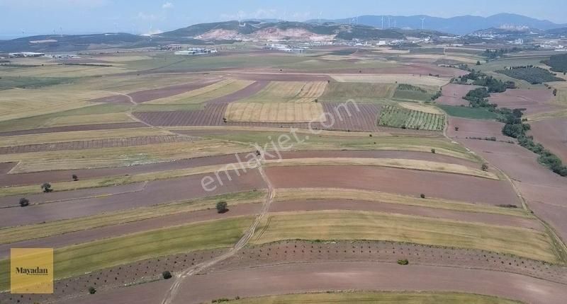 Bandırma Bezirci Satılık Tarla Mayadan Gayrimenkulden Bandırma Bezircide 18505 M2 Satılık Tarla