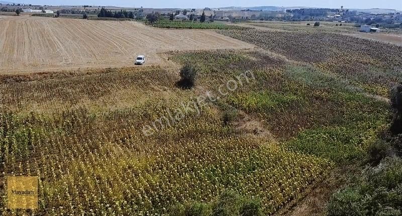 Bandırma Ömerli Satılık Tarla Mayadan Gayrimenkulden Ömerköyde Uygun Yatırım Fırsatı