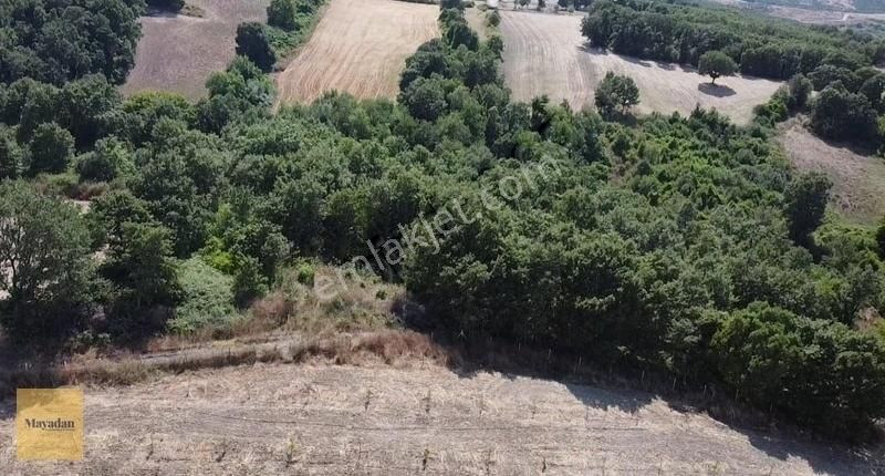 Gönen Üçpınar Satılık Tarla Mayadan Gayrimenkul'den Gönen Üçpınar'da 2.158 M2 Satılık Tarla