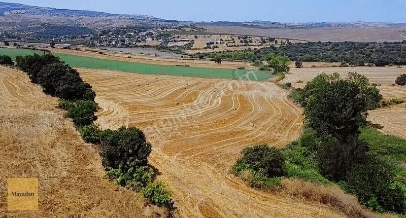 Gönen Ayvalıdere Satılık Tarla Mayadan Gayrimenkul Gönen Ayvalıdere 31100 M2 Satılık Tarla