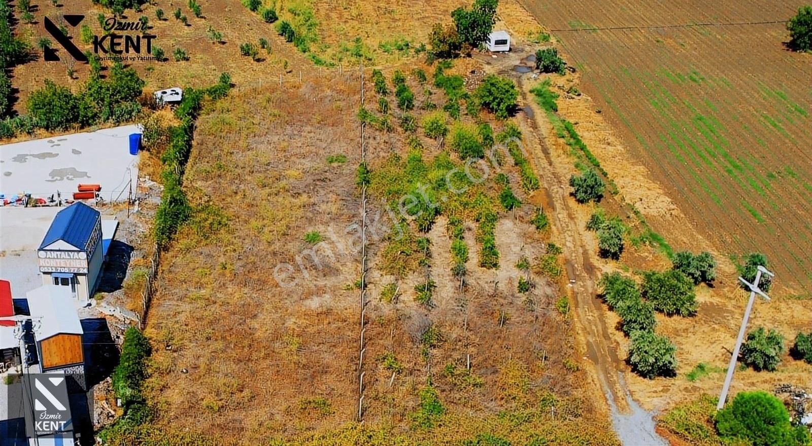 Kemalpaşa Armutlu 85. Yıl Cumhuriyet Satılık Bağ & Bahçe Kemalpaşa Ankara Asfaltı Üzeri Satılık Arazi 1.767 M2