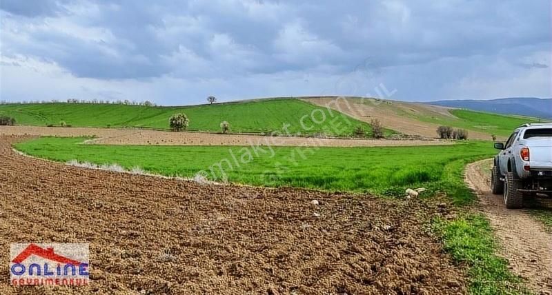 Yenipazar Selim Köyü Satılık Bağ & Bahçe Satılık Arazi Araç Takaslı