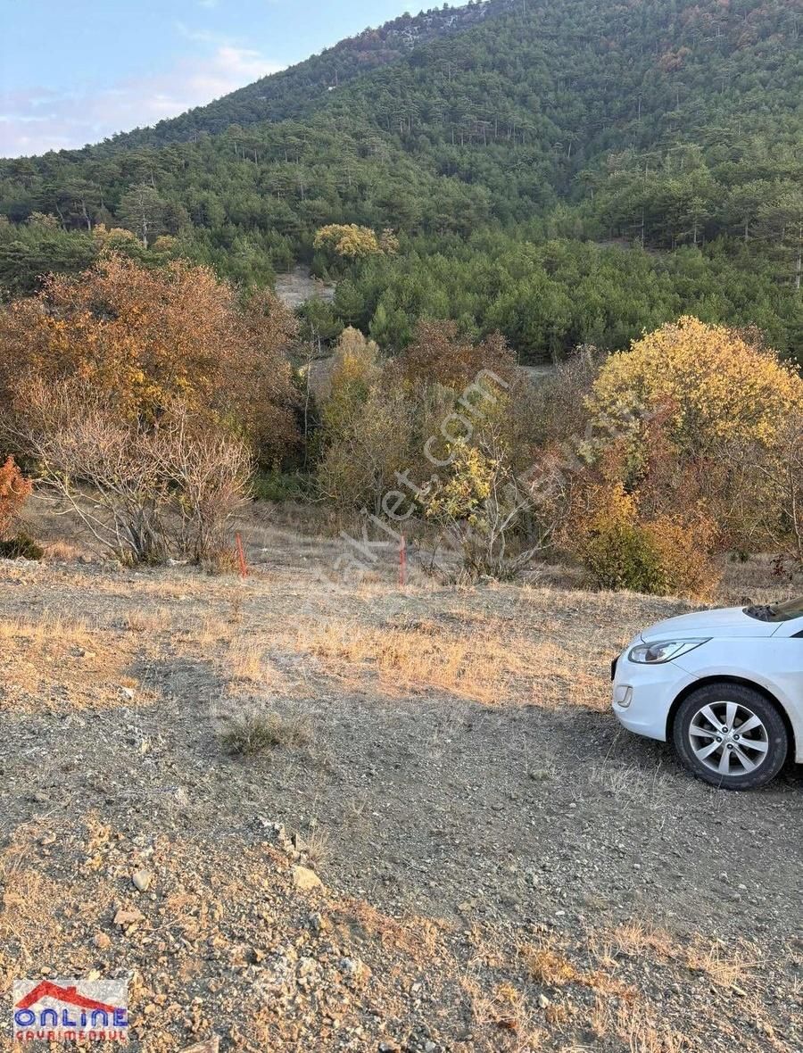 Yenipazar Kavacık Köyü Satılık Bağ & Bahçe Satılık Arazi