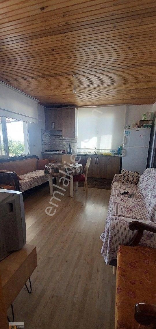 Dikili Candarli Da Deniz Gören Kadastral Yolu Elektriği İçinde 1+1 Evi Olan 14.5 Dönüm Zeytinlitarla - Görsel 13