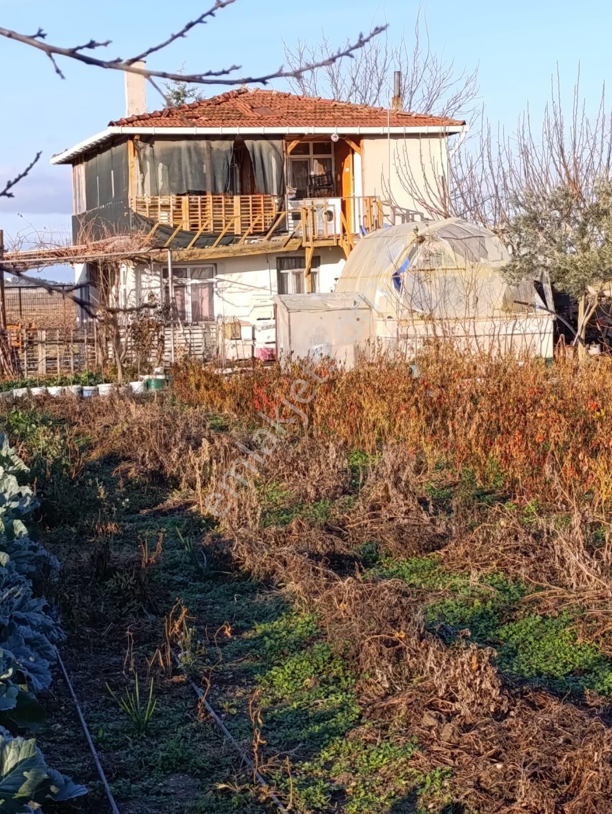 Lüleburgaz Durak Satılık Tarla 7 Dönüm Kiraz Bahçesi/tarlası 500 Ağaç 2 Katlı Ev