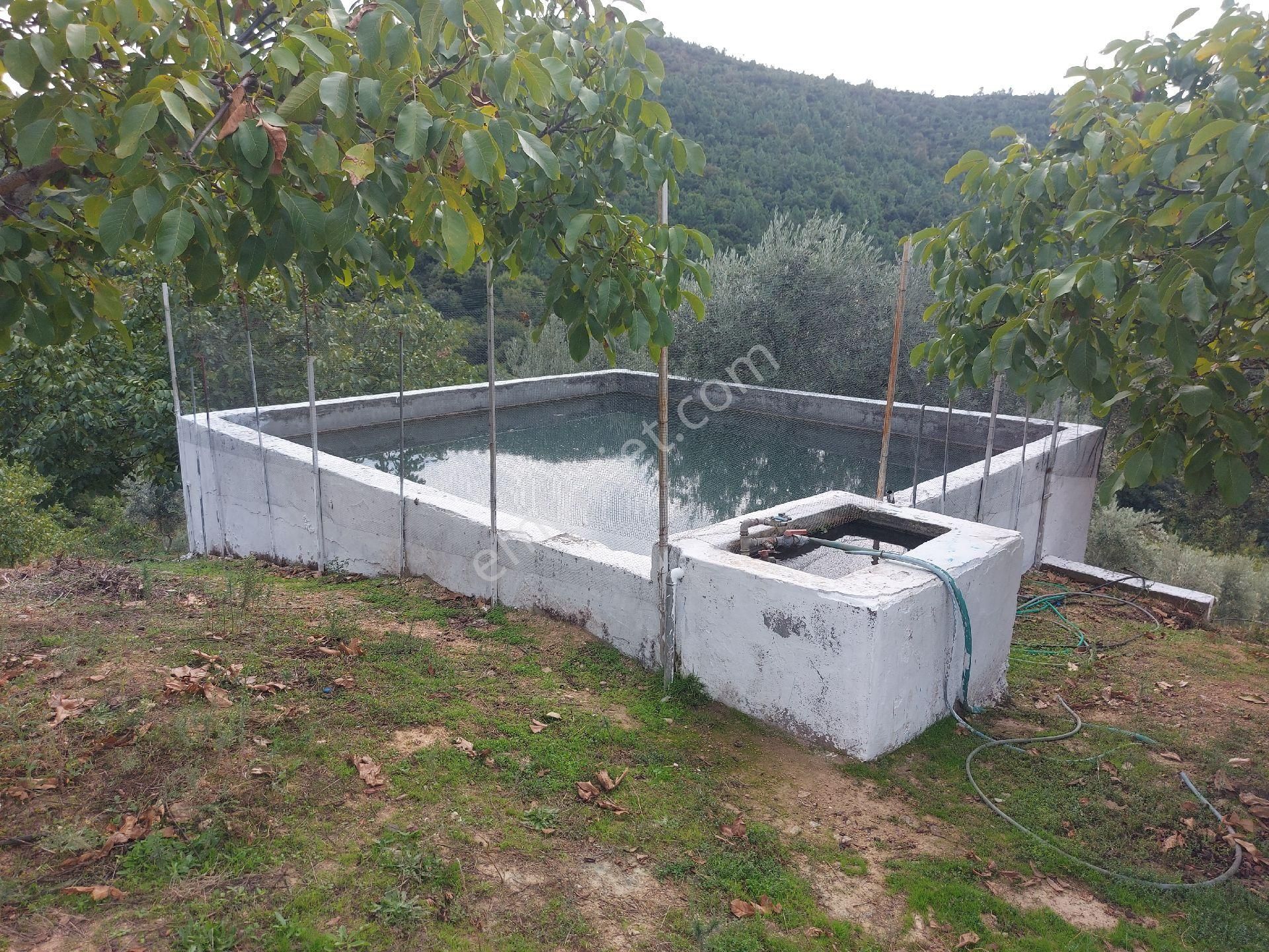 Gemlik Haydariyede Dogave Manzara İçinde Bir Yasam - Görsel 4