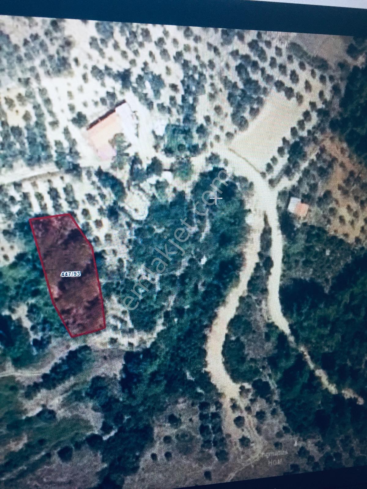 Muğla Menteşe Yerkesik Mahallesinde Satılık Bahçe - Görsel 4