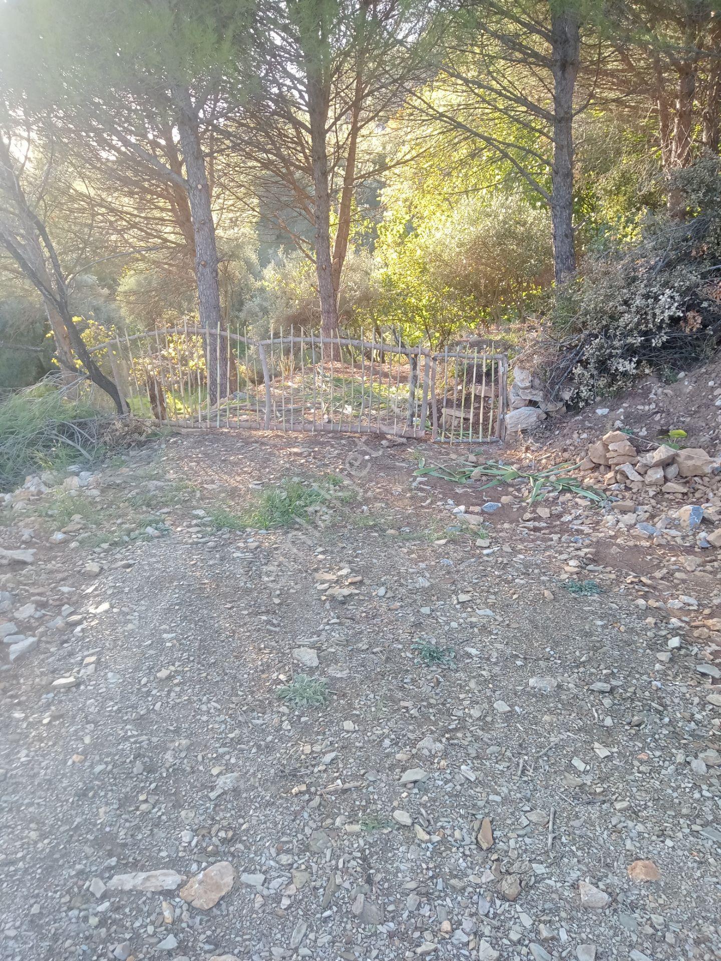 Muğla Menteşe Yerkesik Mahallesinde Satılık Bahçe