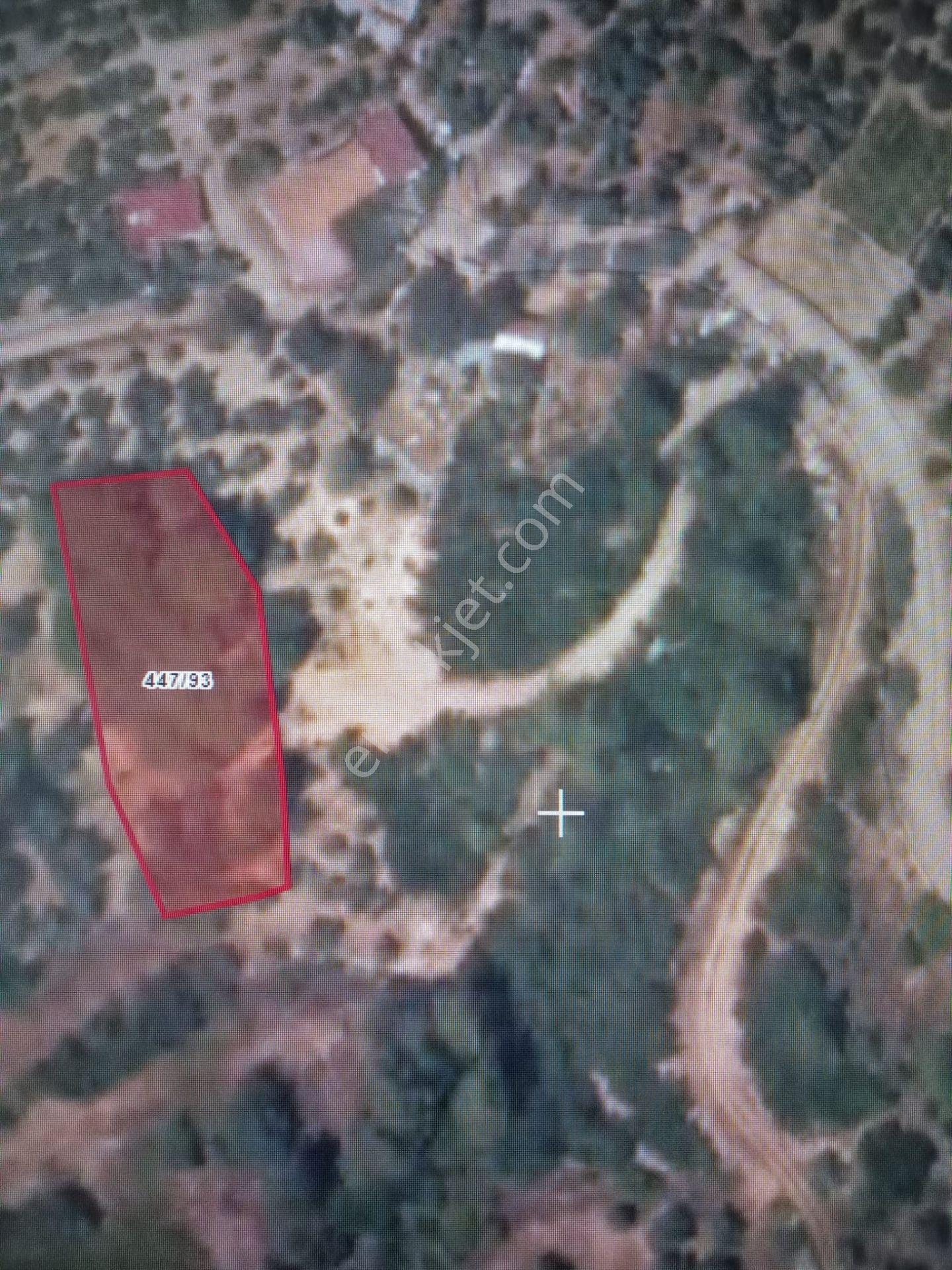 Muğla Menteşe Yerkesik Mahallesinde Satılık Bahçe - Görsel 8