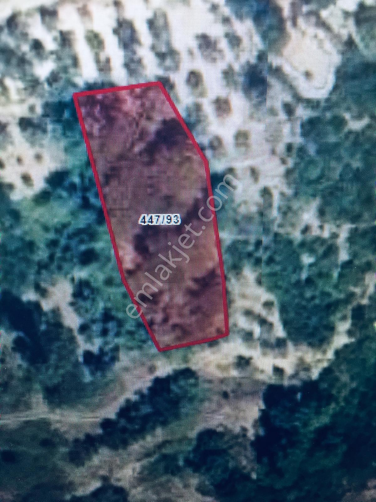 Muğla Menteşe Yerkesik Mahallesinde Satılık Bahçe - Görsel 3