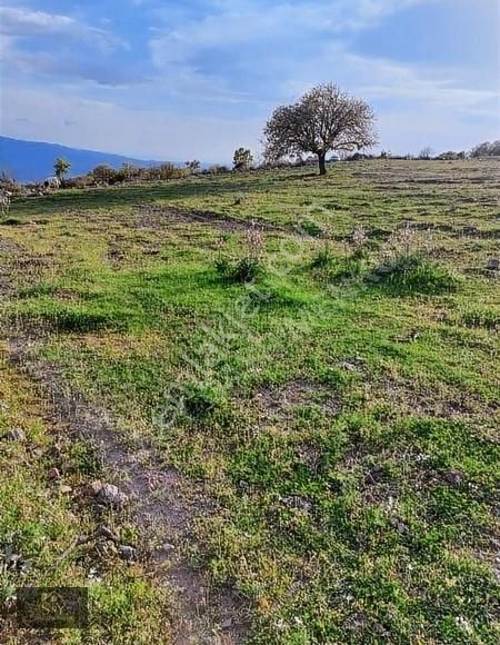 Menemen Görece Satılık Tarla Menemen Eski Görece Köyünde Satılık 351 M2 Tarla